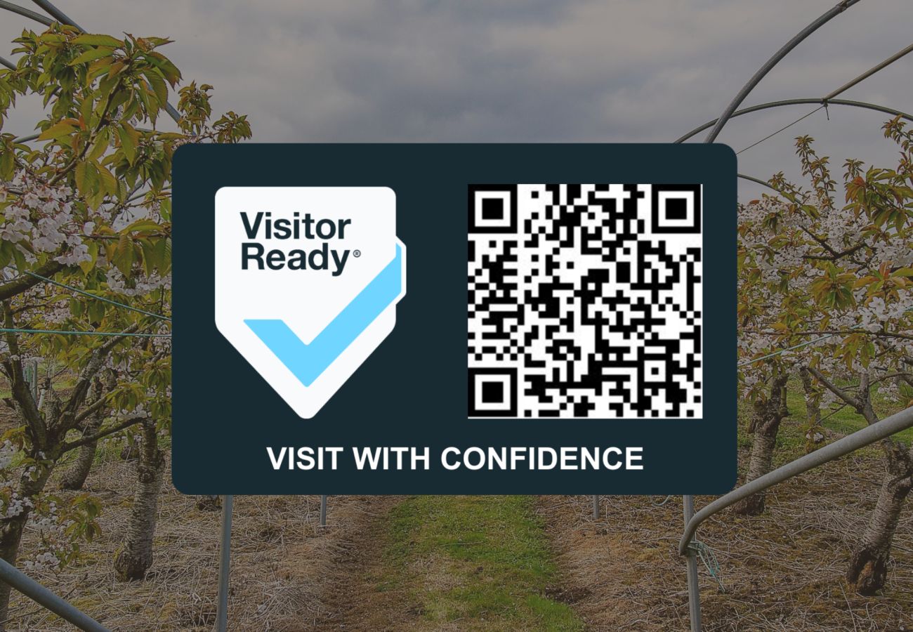 Bungalow in Godshill - Cherry Lodge, The Isle of Wight. 