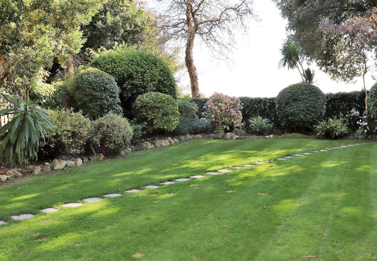 Stepping stones in sunny pet friendly garden